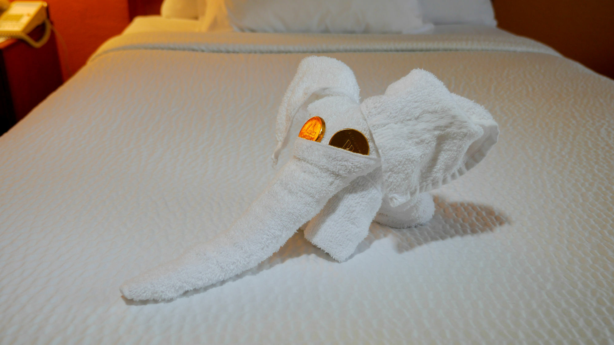 Quality Inn Fayetteville Near Fort Bragg Екстер'єр фото